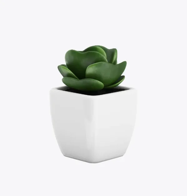 product-image-9_optimized Faucibus Interdum